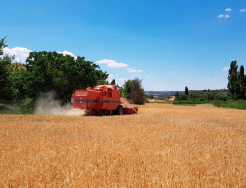 La Junta de Castilla y León impulsa una Lonja de Valladolid y Palencia que se convertirá en referente a nivel nacional para los cereales